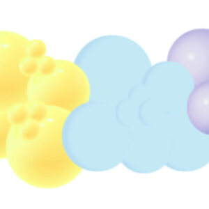 Add-Ons for Decoration Package