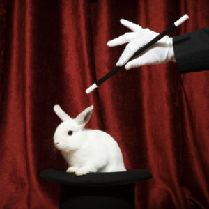Magic Show (30 Minutes)
